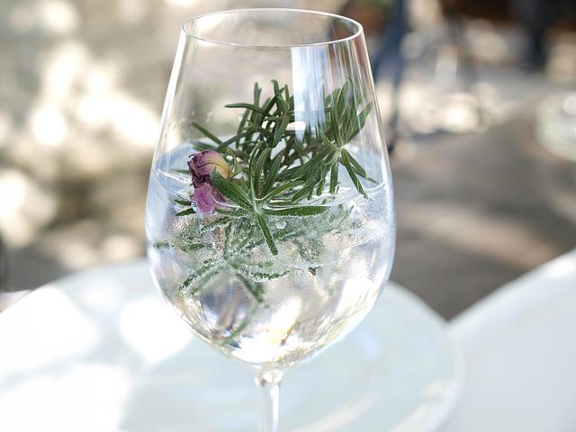 gin s tonikem